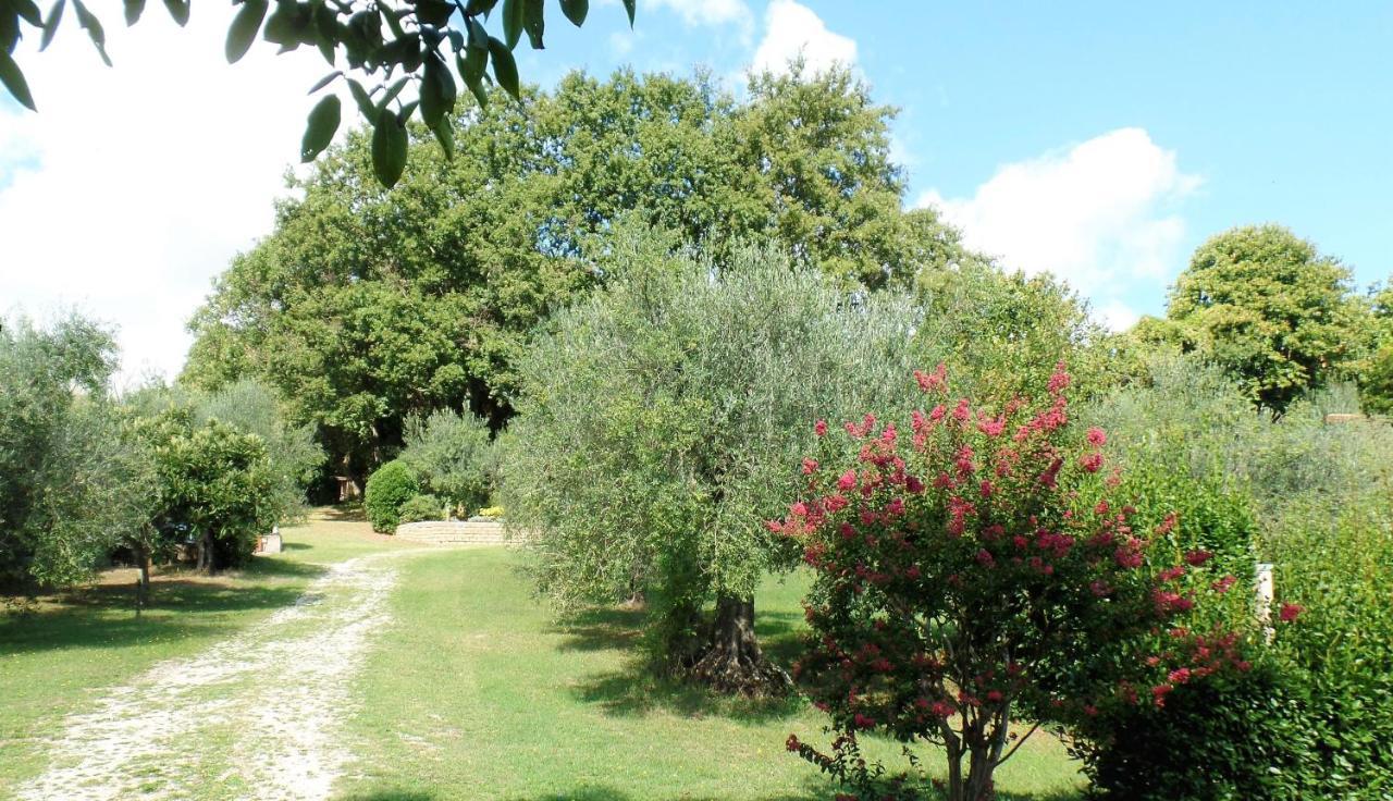 Poggiolindo B&B Capodimonte Exterior photo